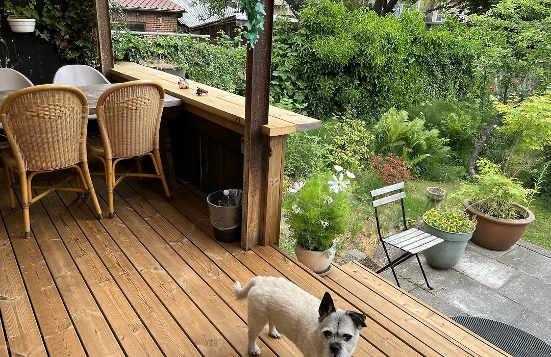 Davaa'S Bed & Breakfast-1